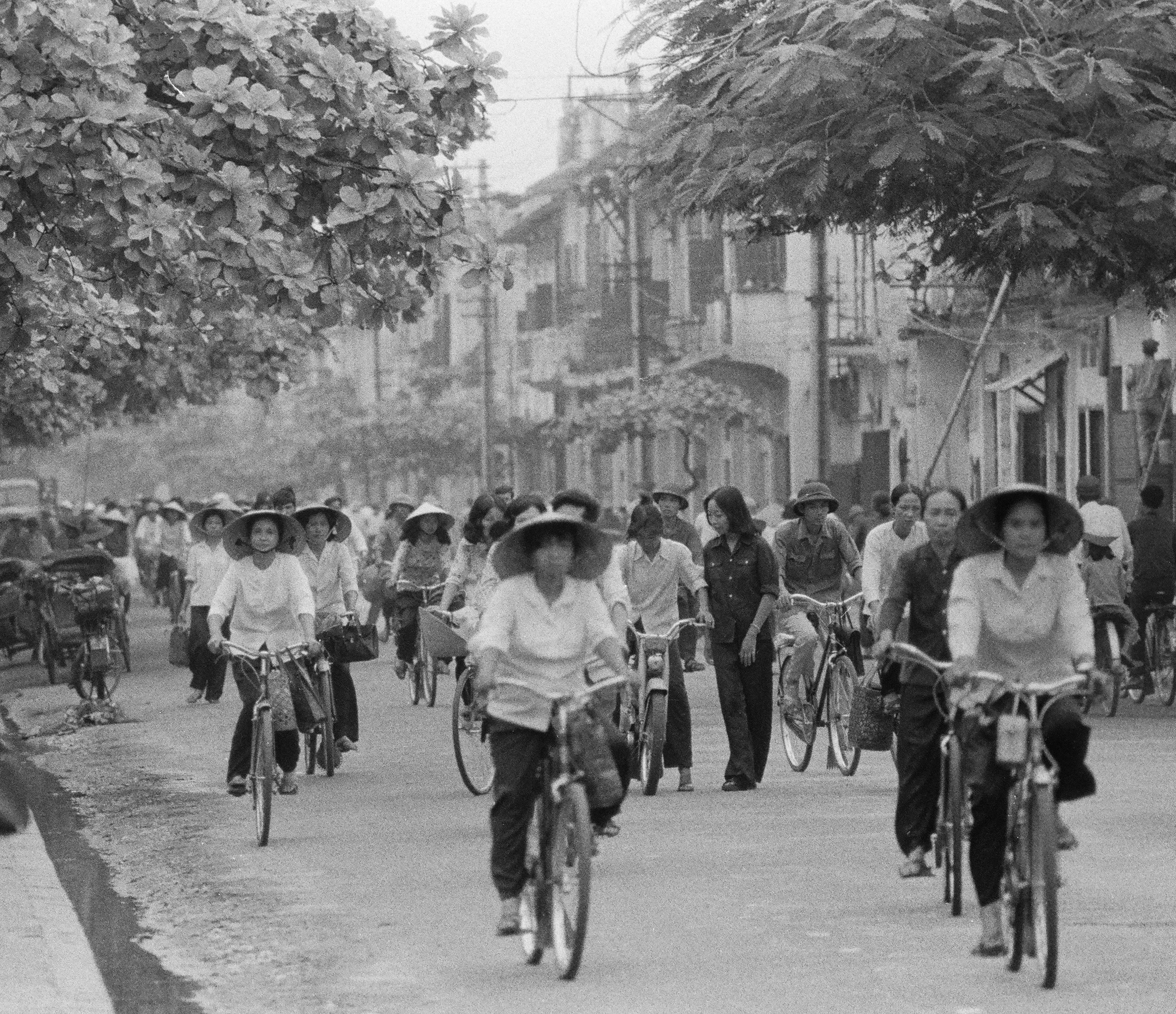 Bicycle travel in Hà Nội.